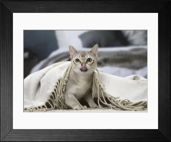 Framed Print : Picture No. 12010137 Framed Print : Picture No. 12010137