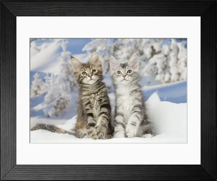 Framed Print : Picture No. 12010171 Framed Print : Picture No. 12010171