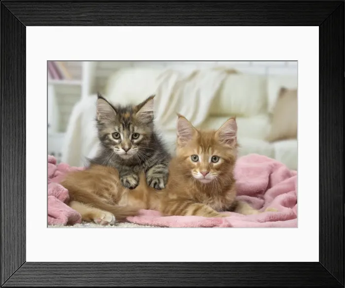 Framed Print : Picture No. 12010212 Framed Print : Picture No. 12010212