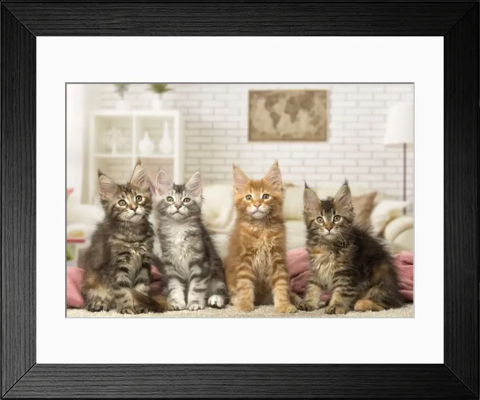 Framed Print : Picture No. 12010221 Framed Print : Picture No. 12010221