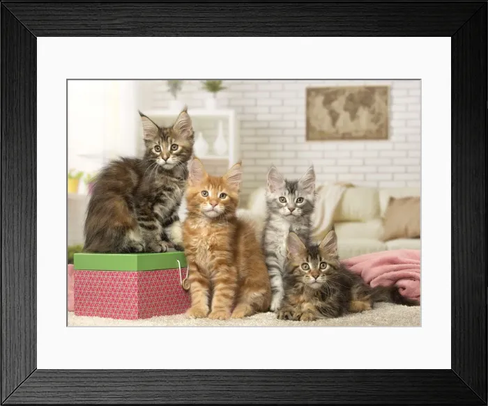 Framed Print : Picture No. 12010222 Framed Print : Picture No. 12010222