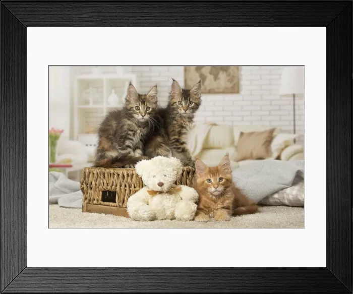 Framed Print : Picture No. 12010226 Framed Print : Picture No. 12010226