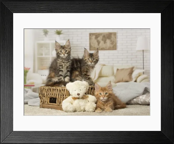 Framed Print : Picture No. 12010227 Framed Print : Picture No. 12010227