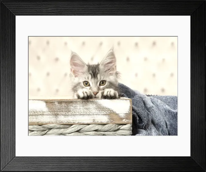 Framed Print : Picture No. 12010230 Framed Print : Picture No. 12010230