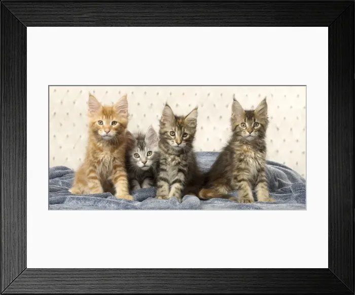 Framed Print : Picture No. 12010233 Framed Print : Picture No. 12010233