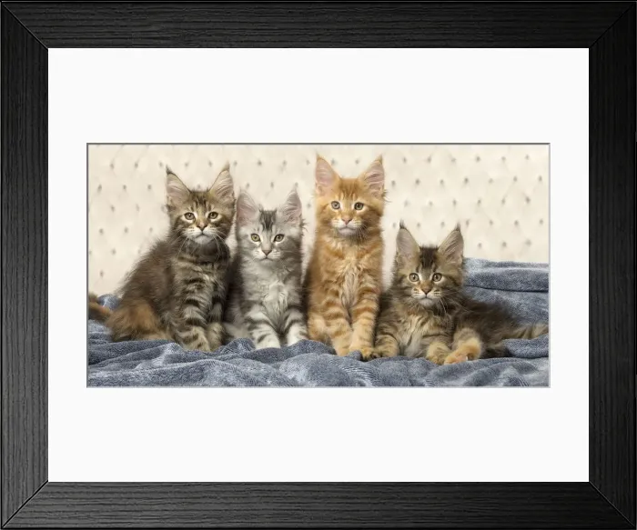 Framed Print : Picture No. 12010234 Framed Print : Picture No. 12010234