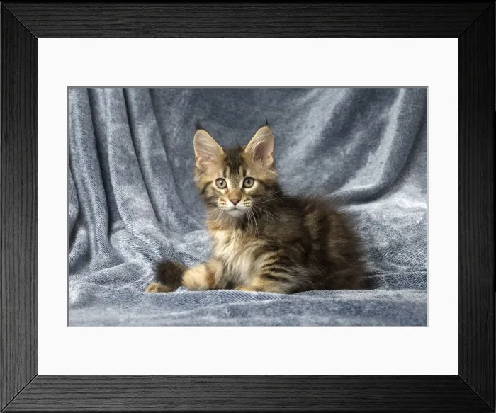 Framed Print : Picture No. 12010236 Framed Print : Picture No. 12010236