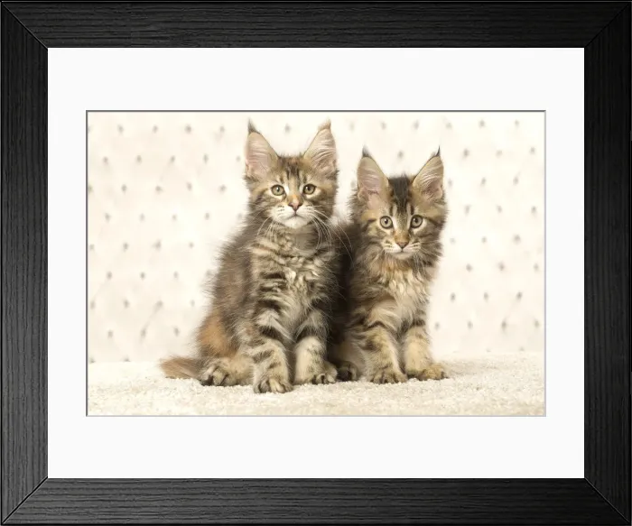 Framed Print : Picture No. 12010238 Framed Print : Picture No. 12010238
