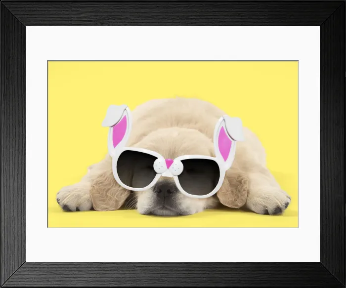 Framed Print : Picture No. 12010285 Framed Print : Picture No. 12010285