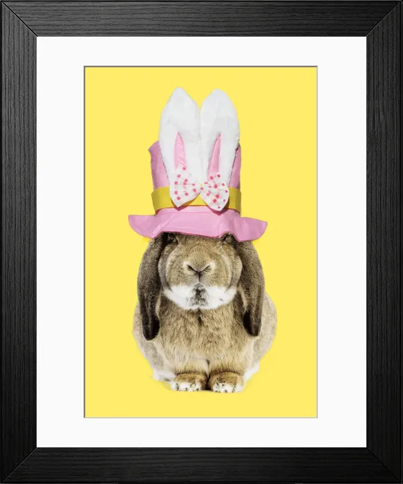 Framed Print : Picture No. 12010288 Framed Print : Picture No. 12010288