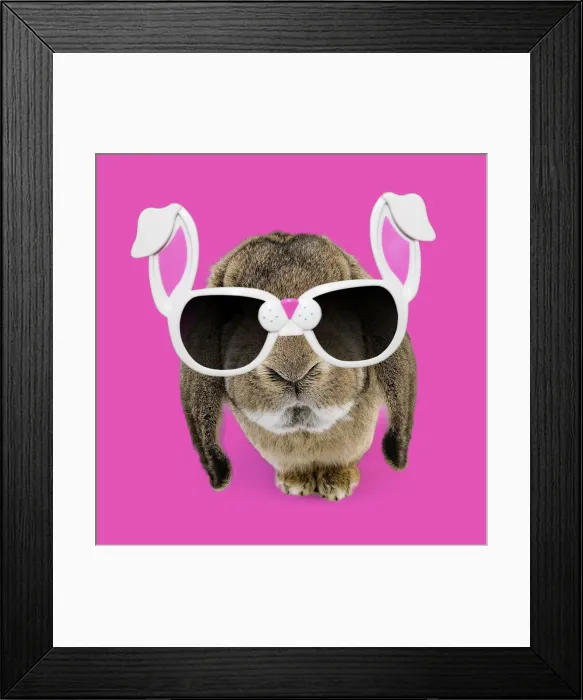 Framed Print : Picture No. 12010289