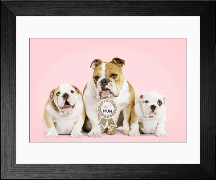 Framed Print : Picture No. 12010290 Framed Print : Picture No. 12010290