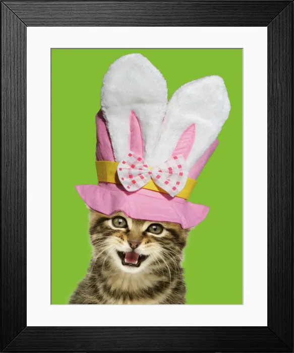 Framed Print : Picture No. 12010291 Framed Print : Picture No. 12010291