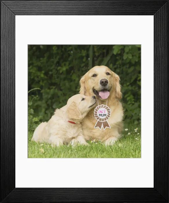 Framed Print : Picture No. 12010292