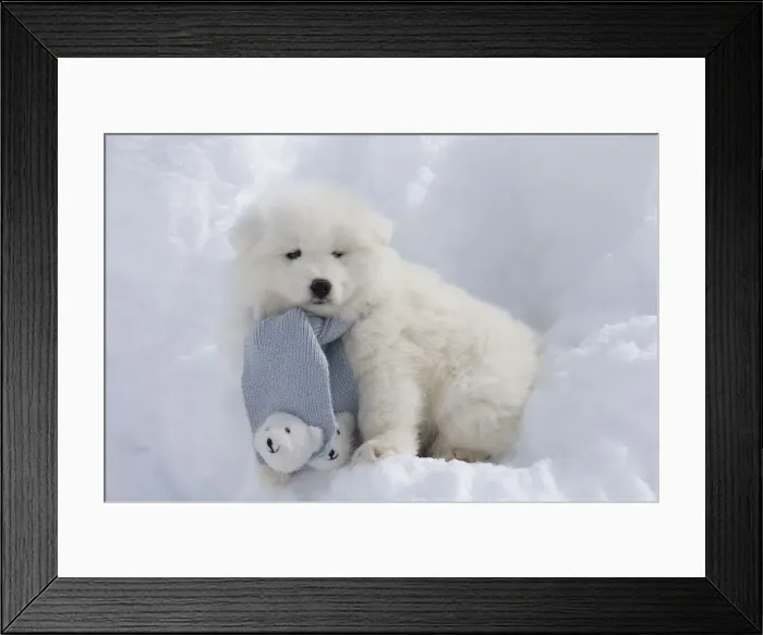 Framed Print : Picture No. 12010643 Framed Print : Picture No. 12010643