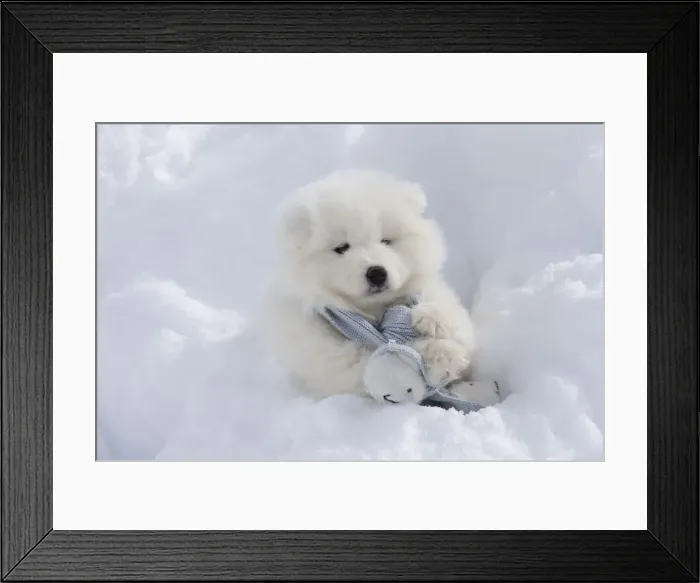Framed Print : Picture No. 12010644 Framed Print : Picture No. 12010644