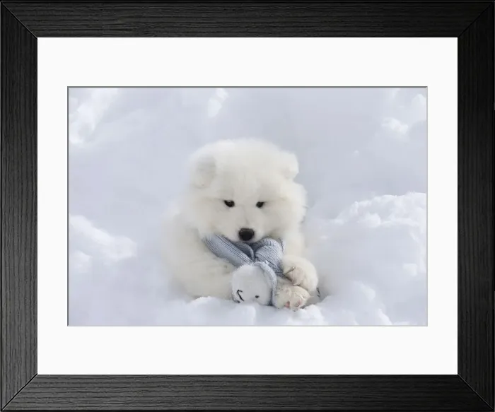 Framed Print : Picture No. 12010645 Framed Print : Picture No. 12010645