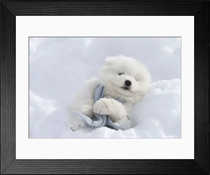Framed Print : Picture No. 12010646 Framed Print : Picture No. 12010646