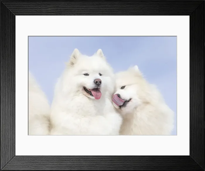 Framed Print : Picture No. 12010647 Framed Print : Picture No. 12010647
