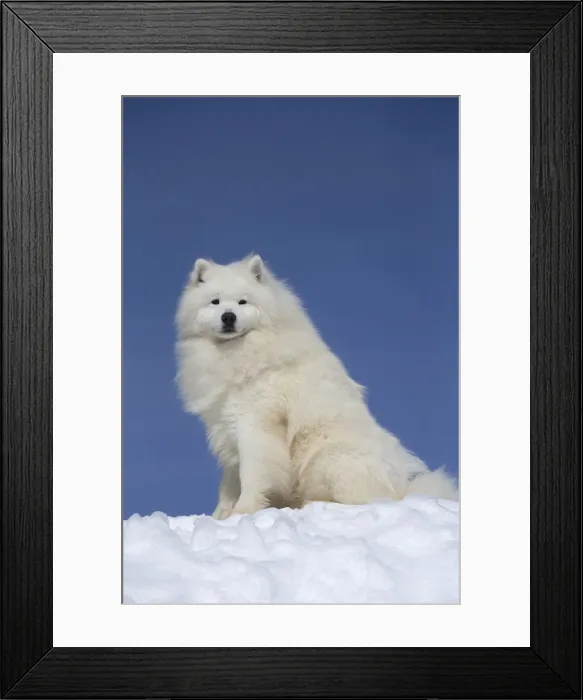 Framed Print : Picture No. 12010653 Framed Print : Picture No. 12010653