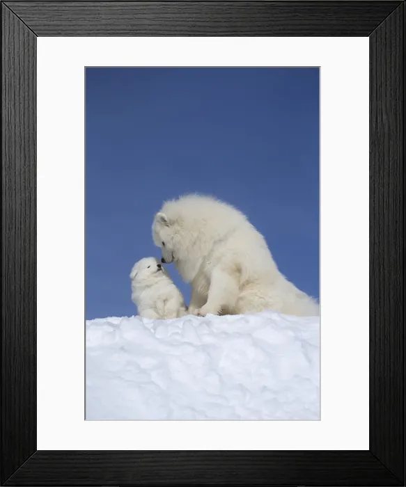 Framed Print : Picture No. 12010669 Framed Print : Picture No. 12010669