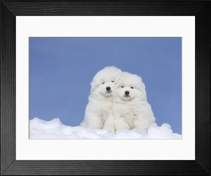Framed Print : Picture No. 12010672 Framed Print : Picture No. 12010672