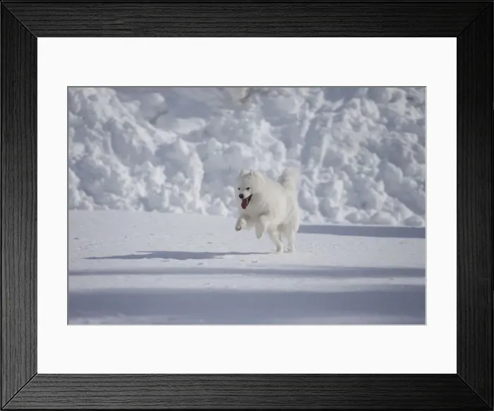 Framed Print : Picture No. 12010676 Framed Print : Picture No. 12010676