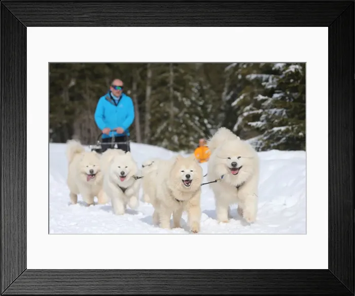 Framed Print : Picture No. 12010678 Framed Print : Picture No. 12010678