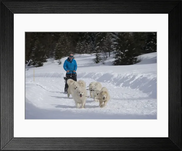 Framed Print : Picture No. 12010679 Framed Print : Picture No. 12010679