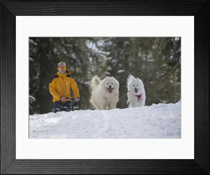Framed Print : Picture No. 12010681 Framed Print : Picture No. 12010681