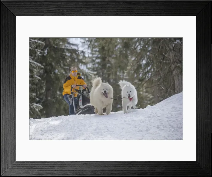 Framed Print : Picture No. 12010682 Framed Print : Picture No. 12010682