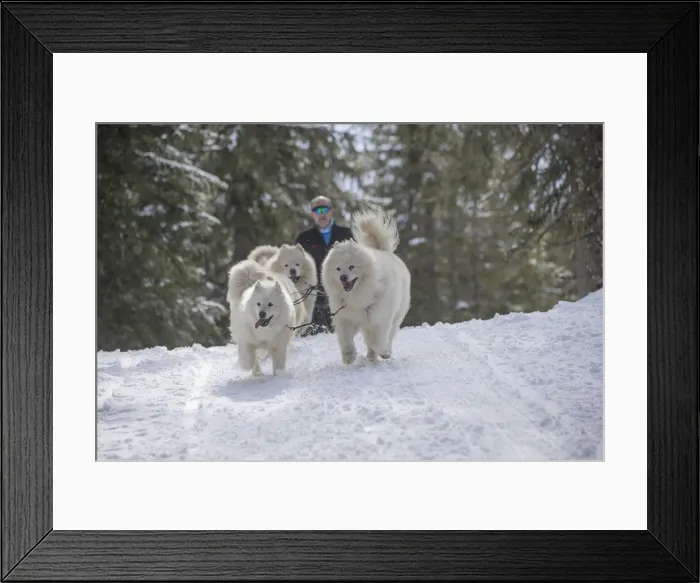Framed Print : Picture No. 12010683 Framed Print : Picture No. 12010683