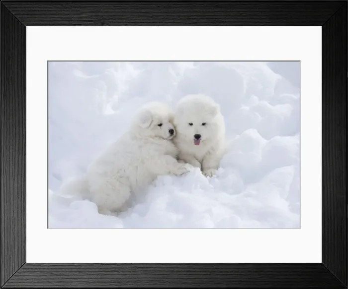 Framed Print : Picture No. 12010692 Framed Print : Picture No. 12010692