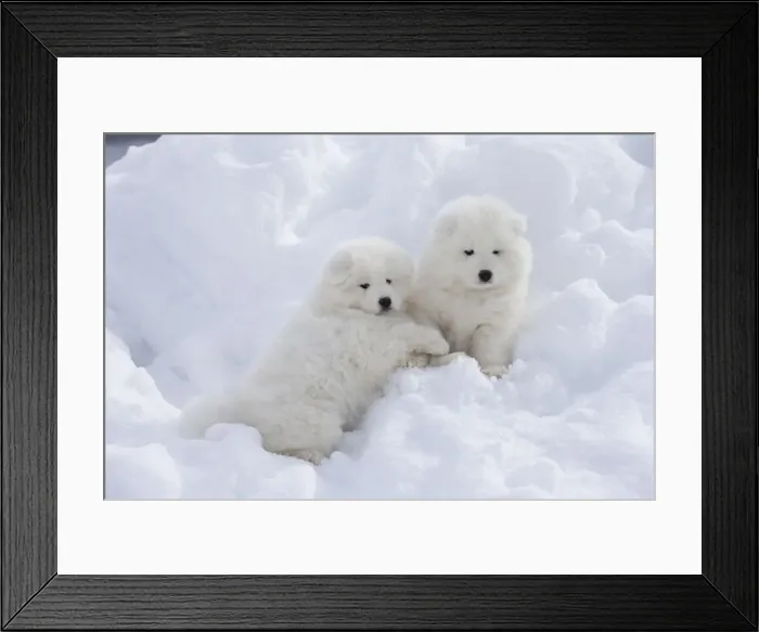 Framed Print : Picture No. 12010694 Framed Print : Picture No. 12010694