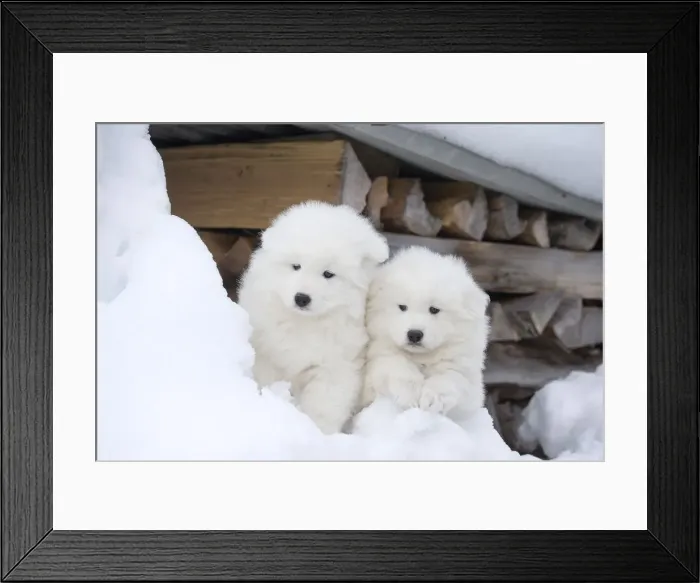 Framed Print : Picture No. 12010697 Framed Print : Picture No. 12010697