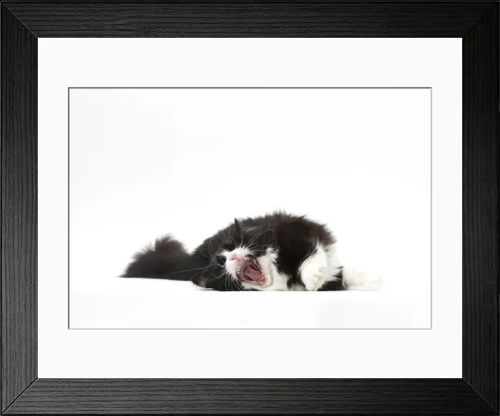 Framed Print : Picture No. 12010716 Framed Print : Picture No. 12010716