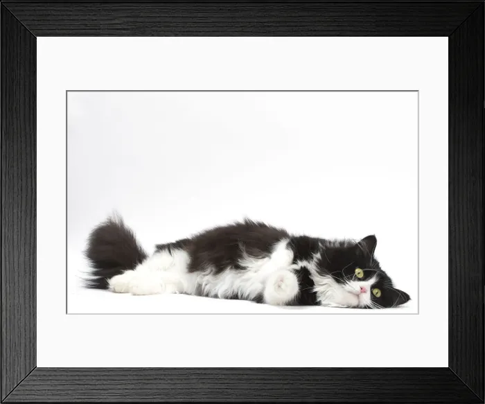 Framed Print : Picture No. 12010718 Framed Print : Picture No. 12010718