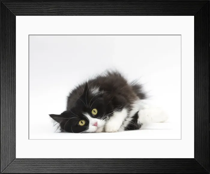 Framed Print : Picture No. 12010720 Framed Print : Picture No. 12010720