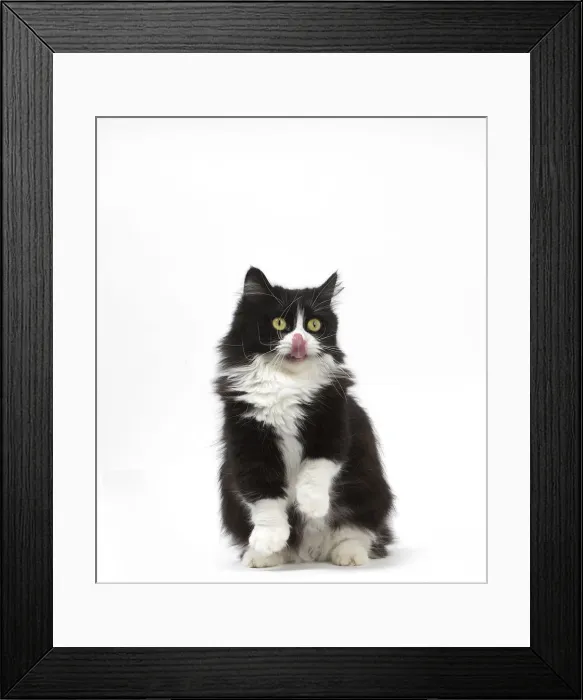 Framed Print : Picture No. 12010721 Framed Print : Picture No. 12010721