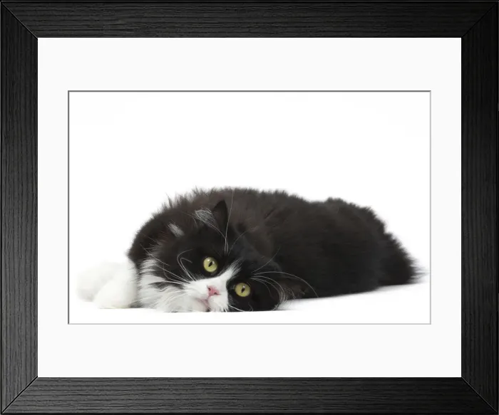 Framed Print : Picture No. 12010722 Framed Print : Picture No. 12010722