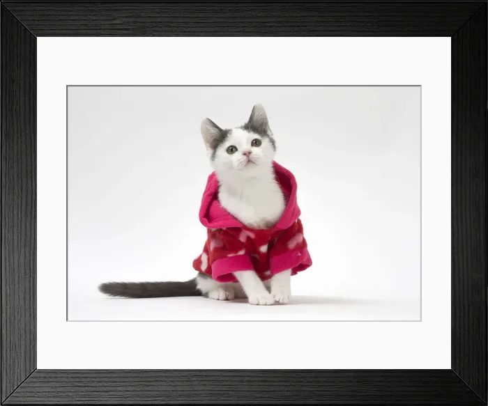 Framed Print : Picture No. 12010730