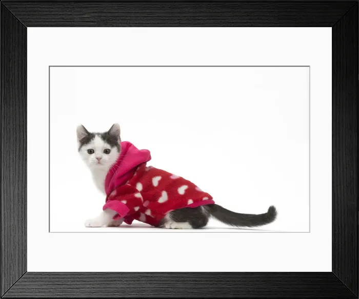 Framed Print : Picture No. 12010732 Framed Print : Picture No. 12010732