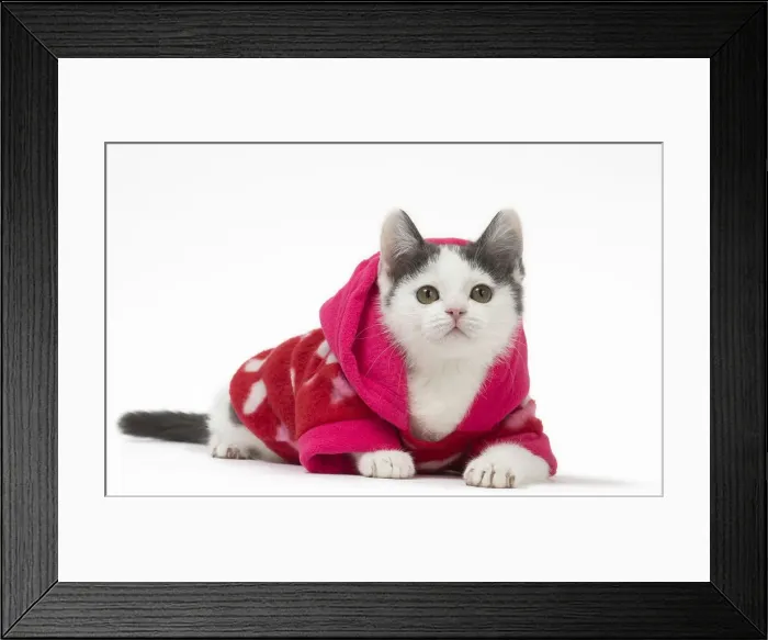 Framed Print : Picture No. 12010733 Framed Print : Picture No. 12010733