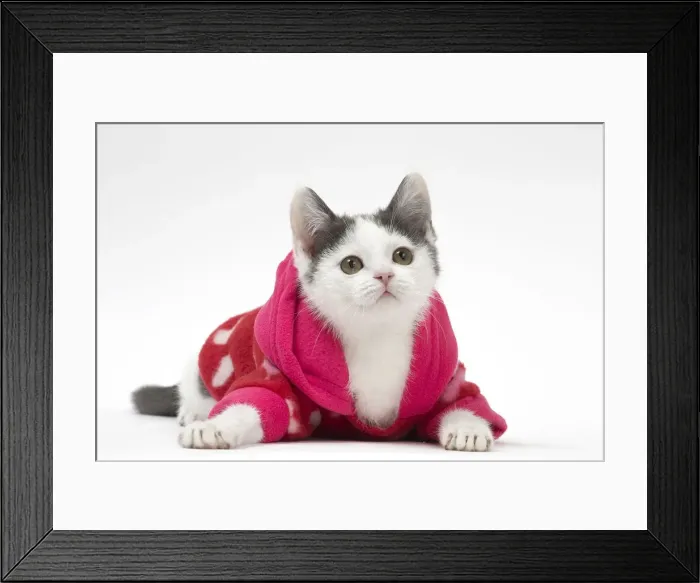 Framed Print : Picture No. 12010734 Framed Print : Picture No. 12010734
