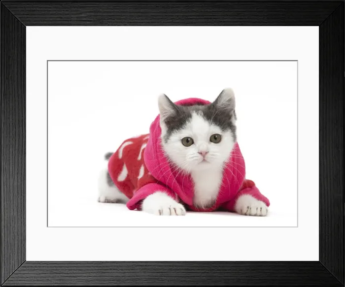 Framed Print : Picture No. 12010735 Framed Print : Picture No. 12010735