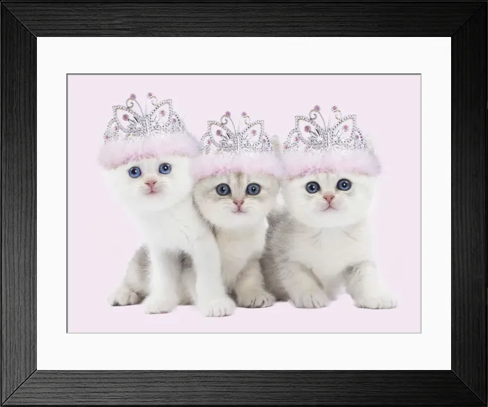 Framed Print : Picture No. 12010860 Framed Print : Picture No. 12010860