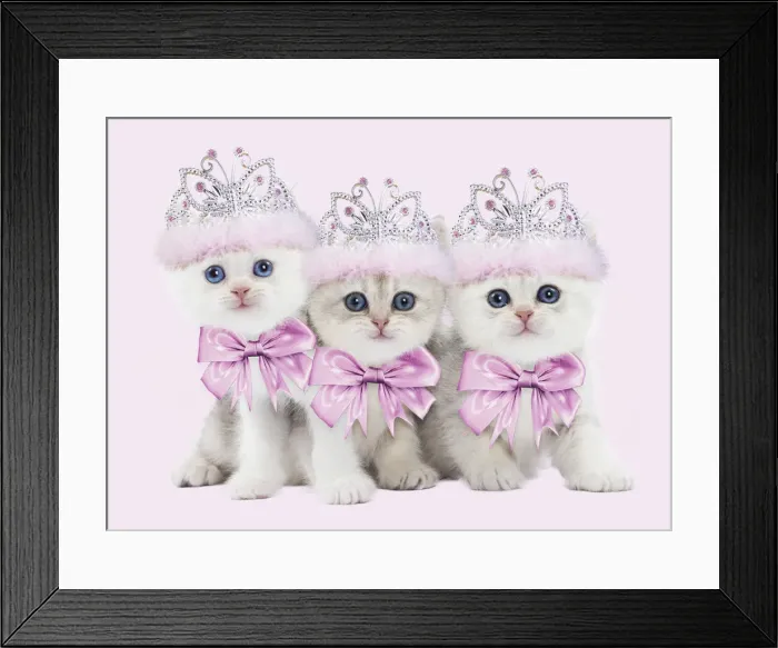 Framed Print : Picture No. 12010862