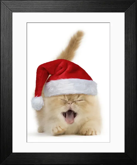 Framed Print : Picture No. 12010864