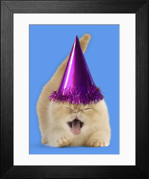 Framed Print : Picture No. 12010866 Framed Print : Picture No. 12010866