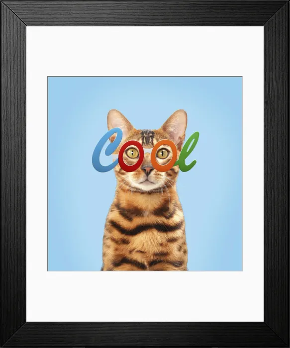 Framed Print : Picture No. 12010867